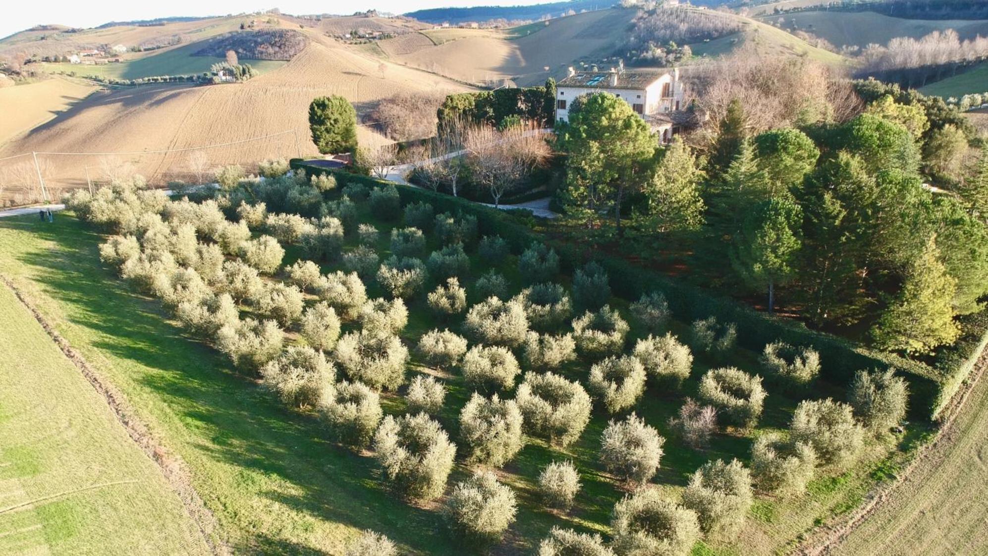 Monterosato Country House Ponzano di Fermo Exterior foto